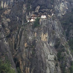 Meet your Posher, Renuka